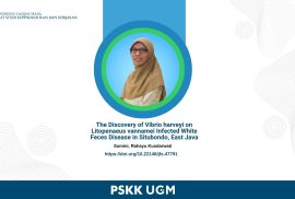 Jurnal peneliti PSKK UGM